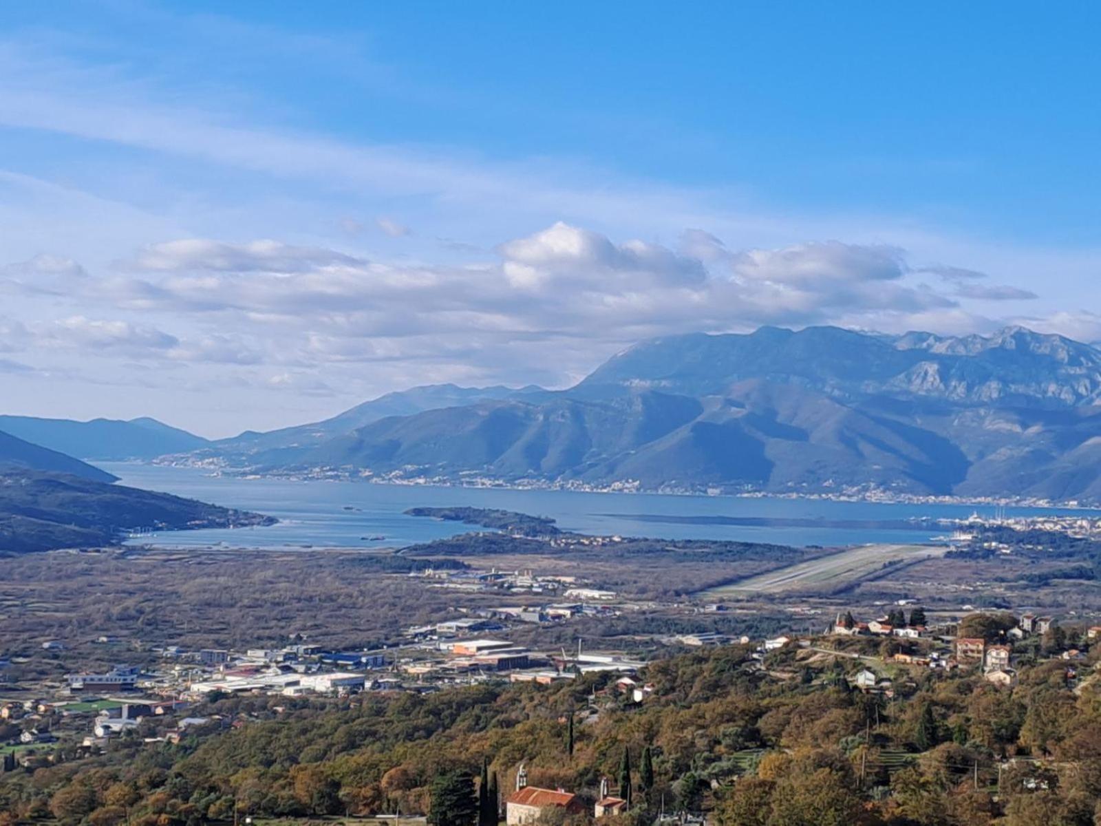 Dims Kotor